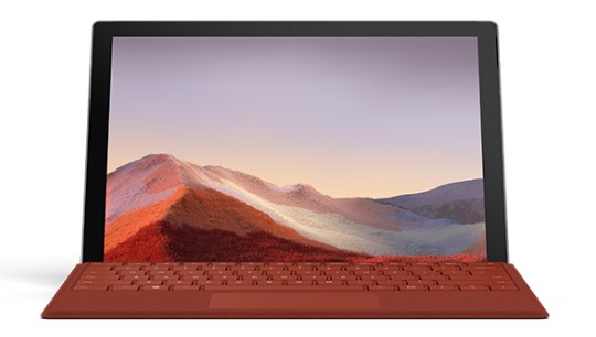 沔城回族镇清洁和维护 Surface